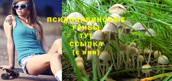 МДПВ Надым