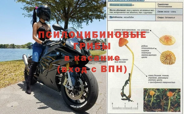 гашишное масло Михайлов