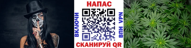 Марихуана Bruce Banner  Мамоново 